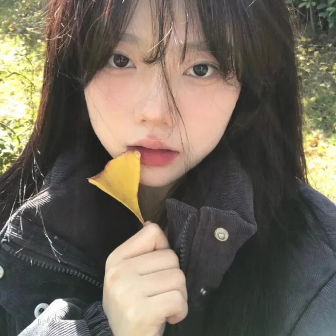 爱情无价